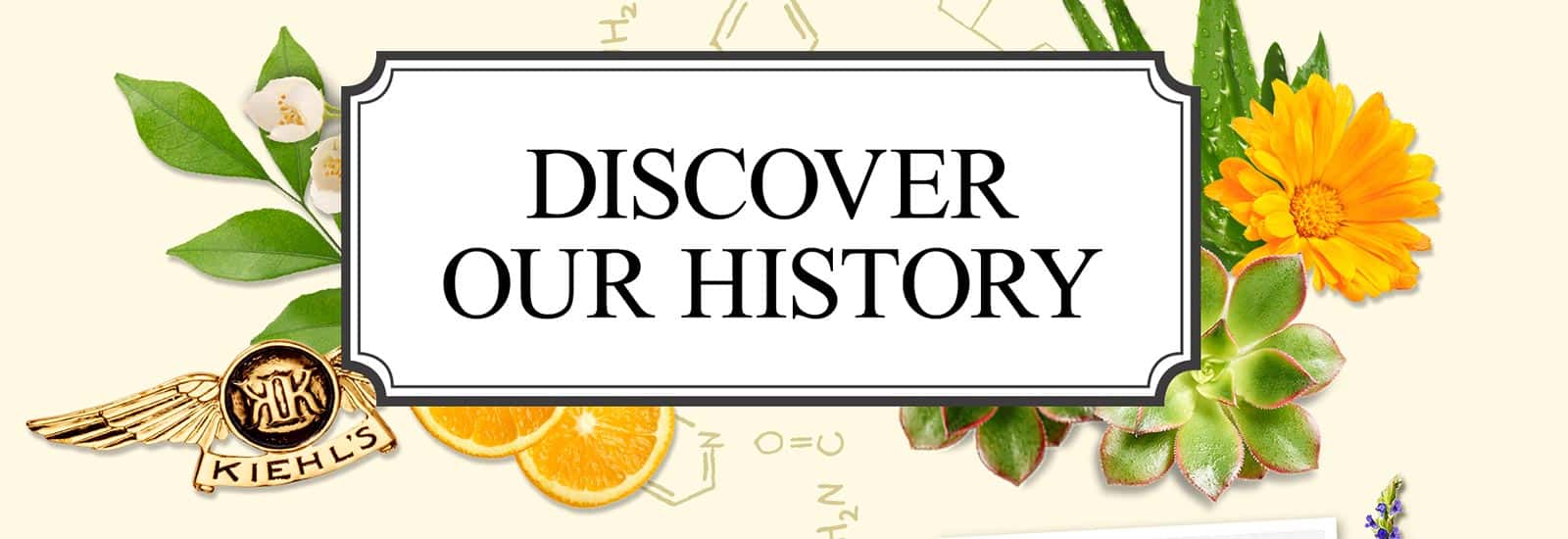 Discover Kiehl's history banner
