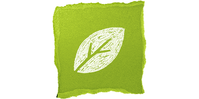 Kiehl's sustainability leaf big icon