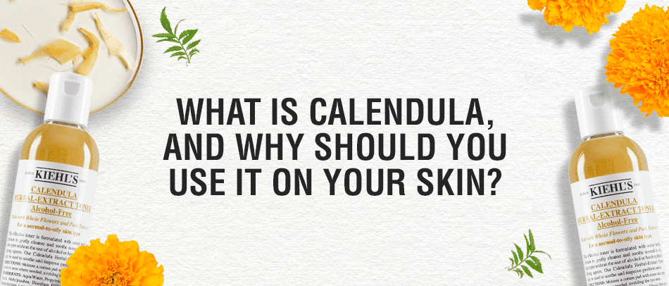 What is Calendula and Why Should You Use It on Your Skin?